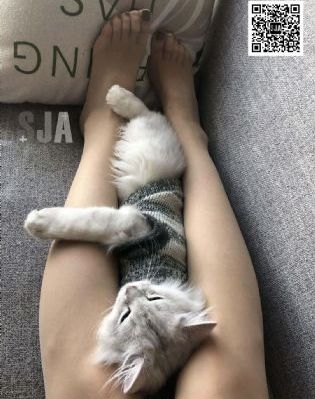 在线视频播放软件推荐_4K最新电影在线观看